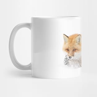 Red Fox - Algonquin Park Mug